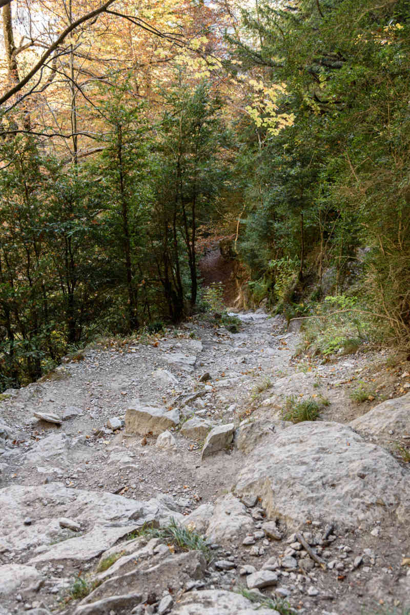 Huesca - parque nacional de Ordesa y Monte Perdido - valle de Añisclo 78 - cañon de Añisclo - sendero.jpg